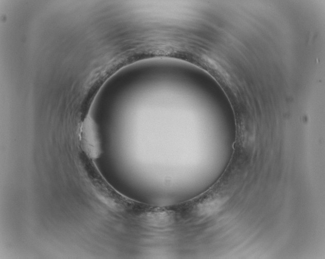 X0000088440307200705221319