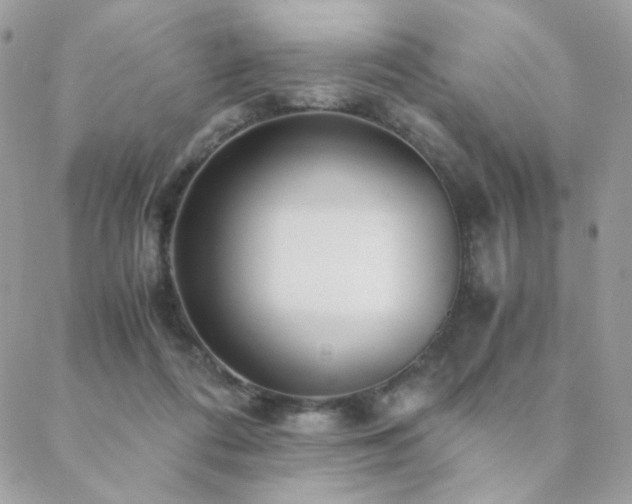 X0000088440312200705221319