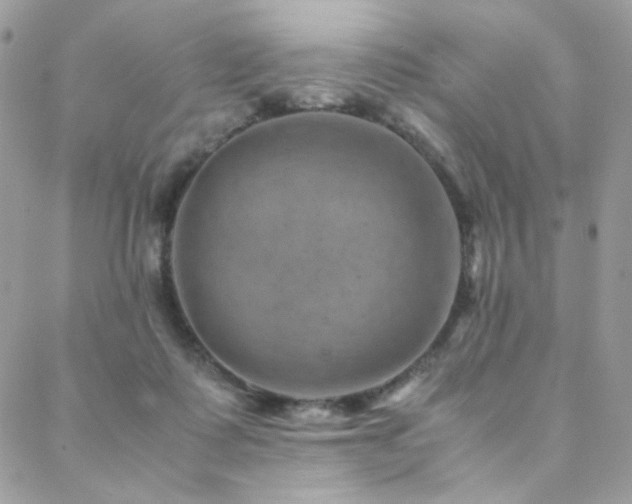 X0000088440315200705221319