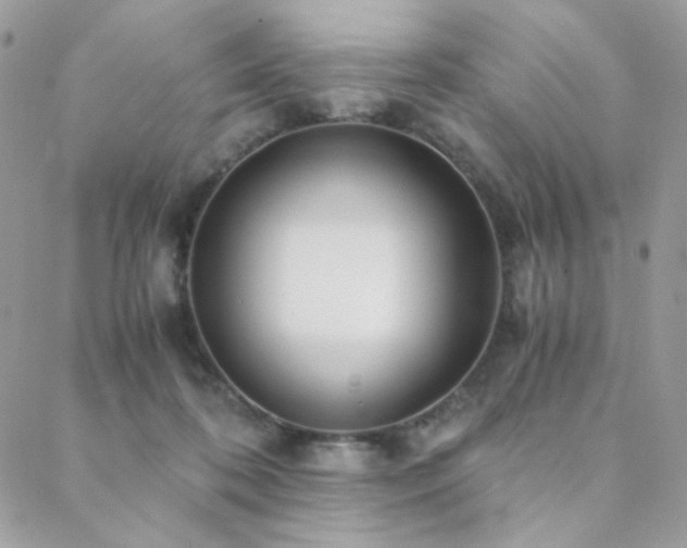 X0000088440316200705221319