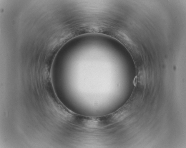 X0000088440318200705221319