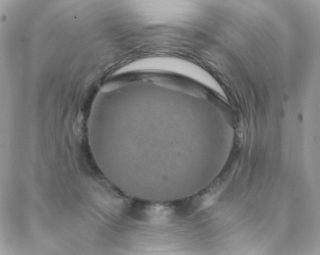 X0000088440319200705221319
