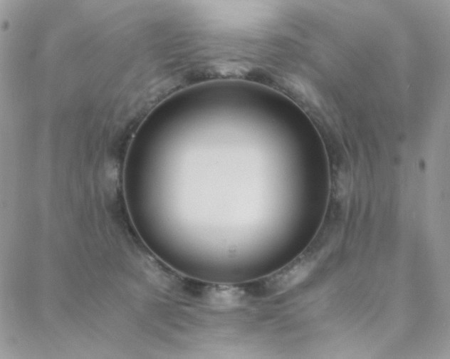 X0000088440321200705221319