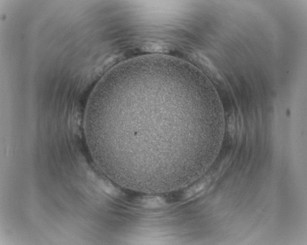 X0000088440322200705221319