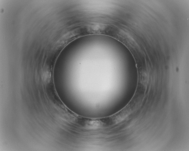 X0000088440324200705221319
