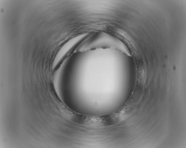 X0000088440329200705221319
