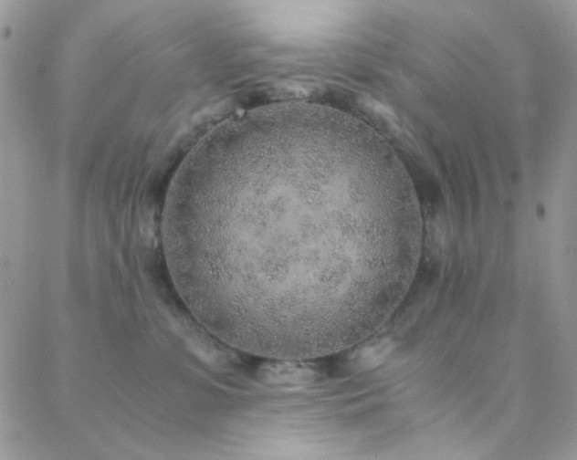 X0000088440331200705221319