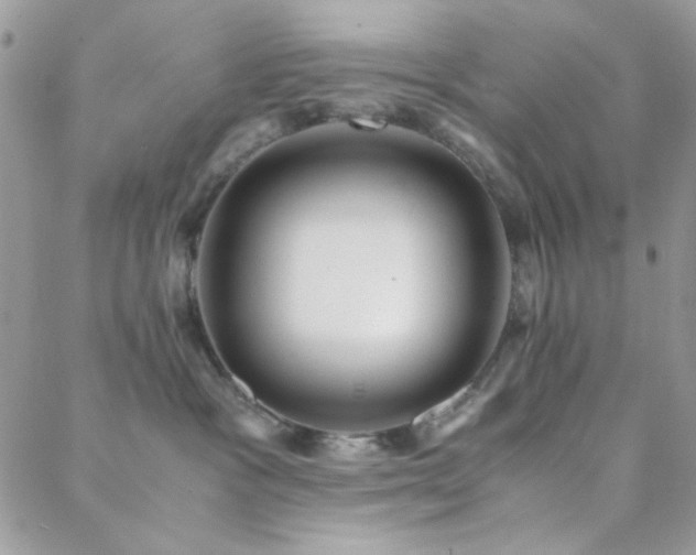 X0000088440333200705221319