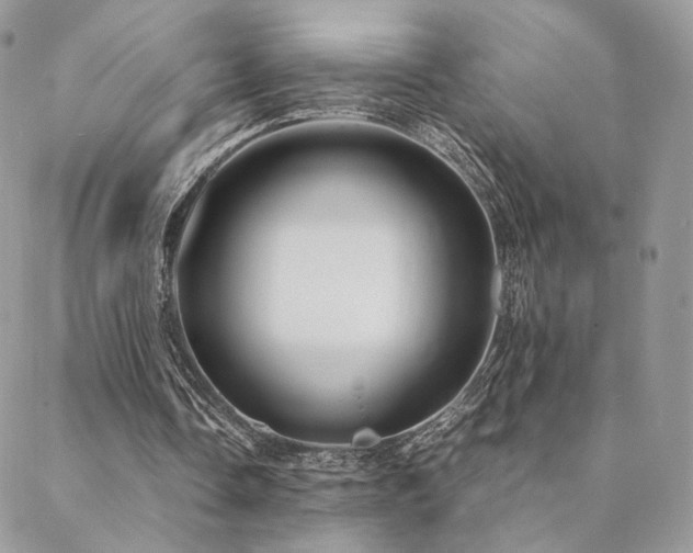 X0000088440338200705221318