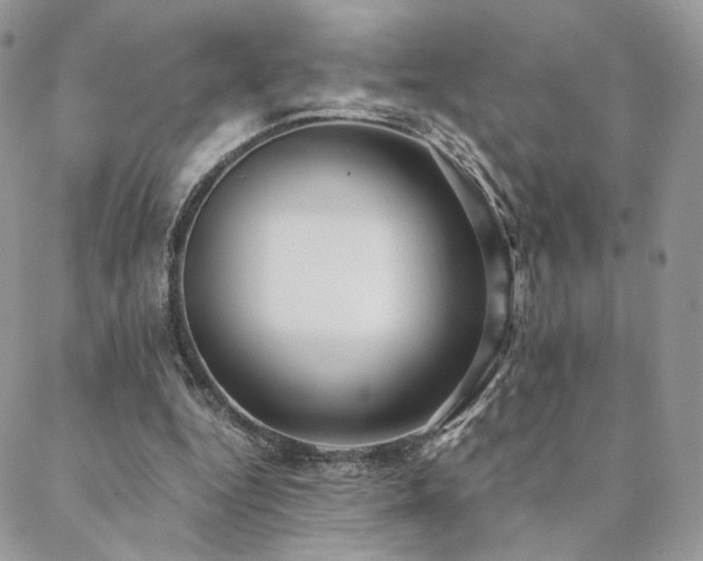 X0000088440344200705221318