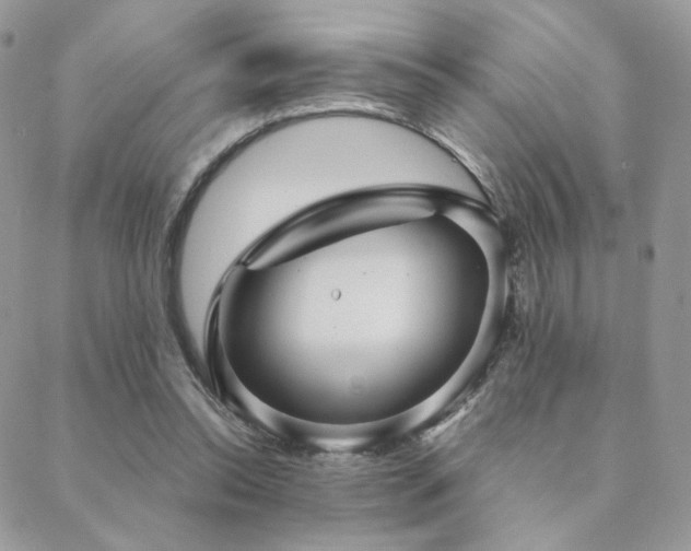 X0000088440350200705221318