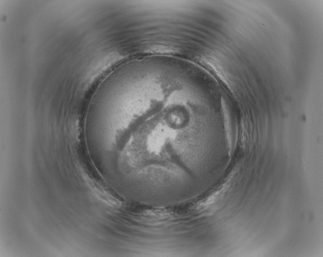 X0000088440351200705221318