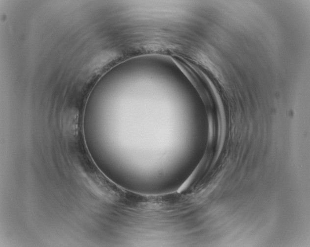 X0000088440356200705221318