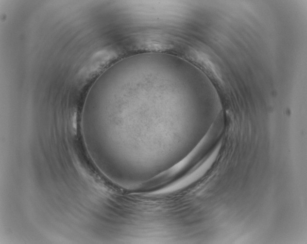 X0000088440358200705221318