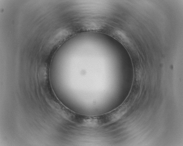 X0000088440362200705221318