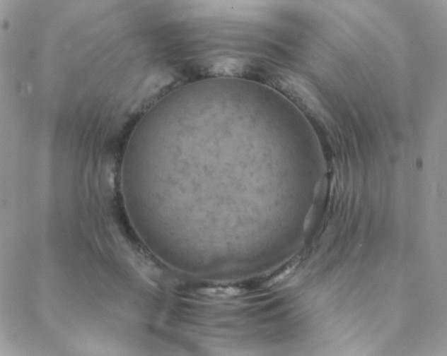 X0000088440363200705221318