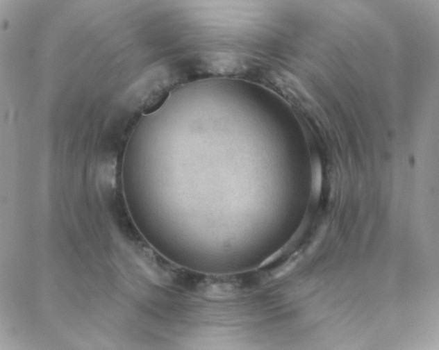 X0000088440368200705221318
