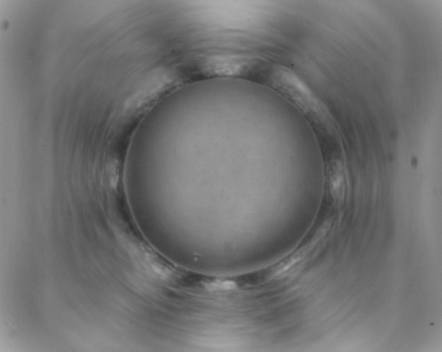 X0000088440374200705221318
