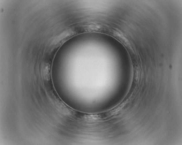 X0000088440378200705221318