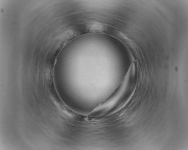 X0000088440379200705221318