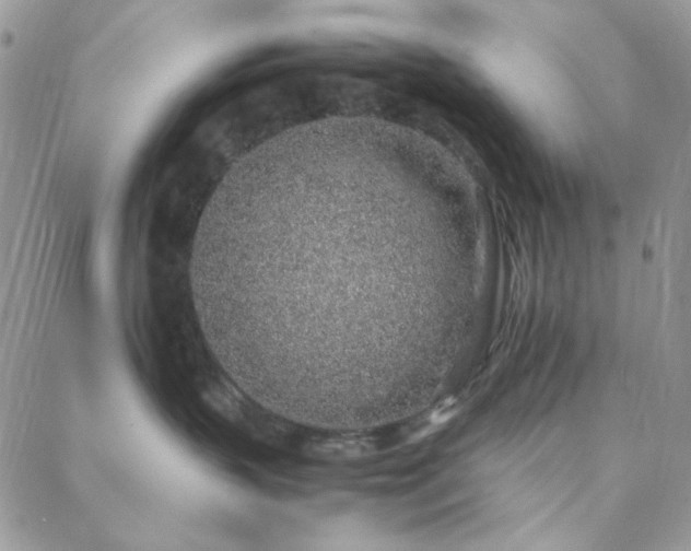 X0000088440383200705221318