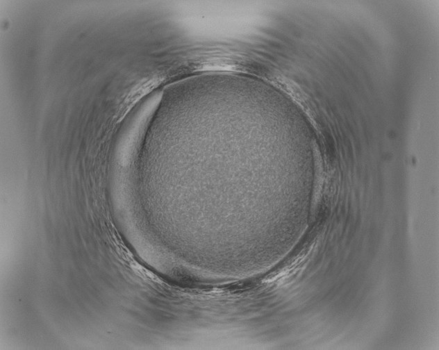 X0000088440385200705221318