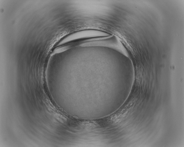 X0000088440386200705221318