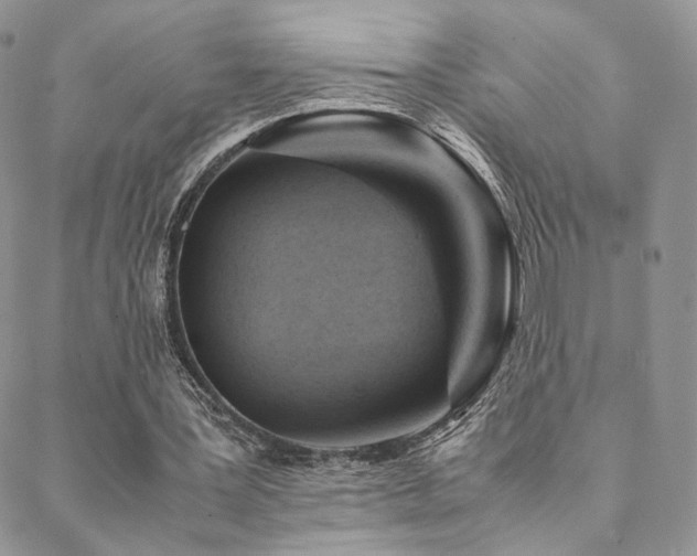 X0000088440387200705221318