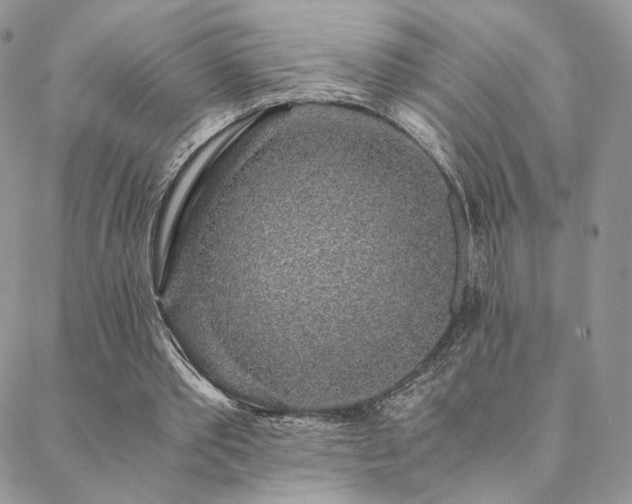 X0000088440389200705221318
