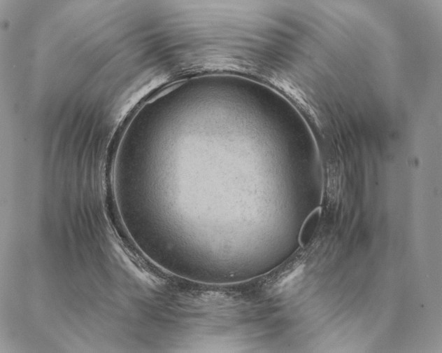 X0000088440390200705221318