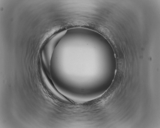 X0000088440395200705221318