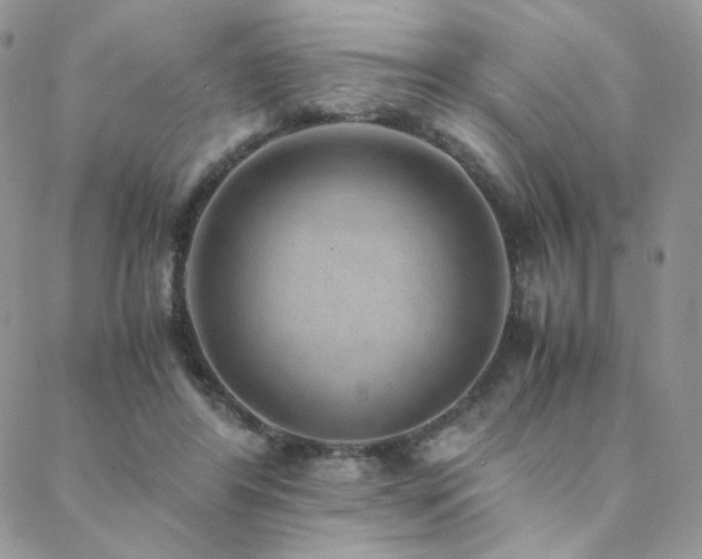 X0000088440404200705221317
