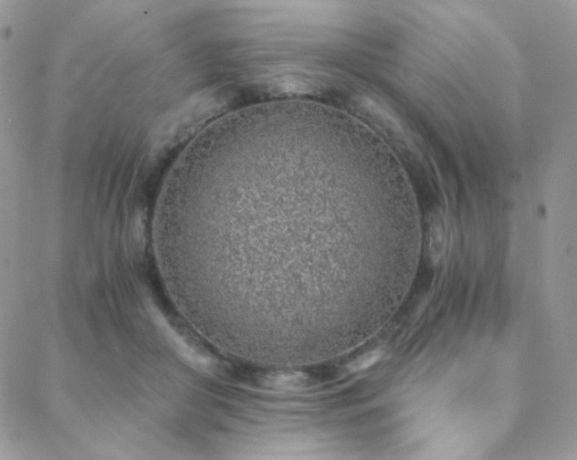 X0000088440410200705221317