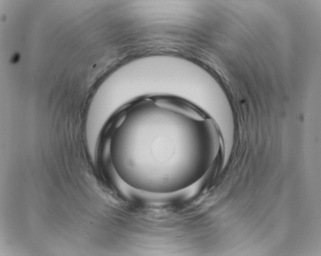 X0000088440411200705221317