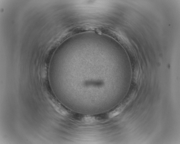 X0000088440413200705221317