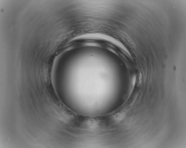 X0000088440416200705221317