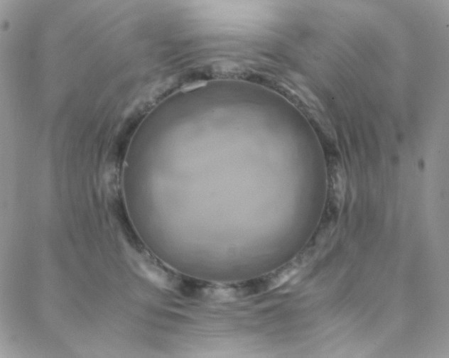 X0000088440419200705221317