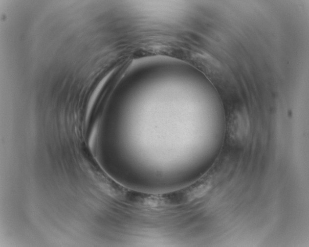 X0000088440420200705221317