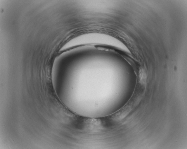 X0000088440421200705221317