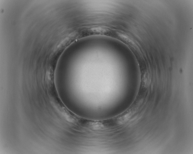 X0000088440424200705221317
