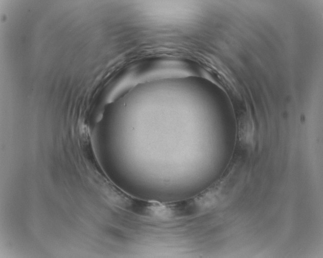 X0000088440425200705221317