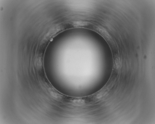 X0000088440426200705221317