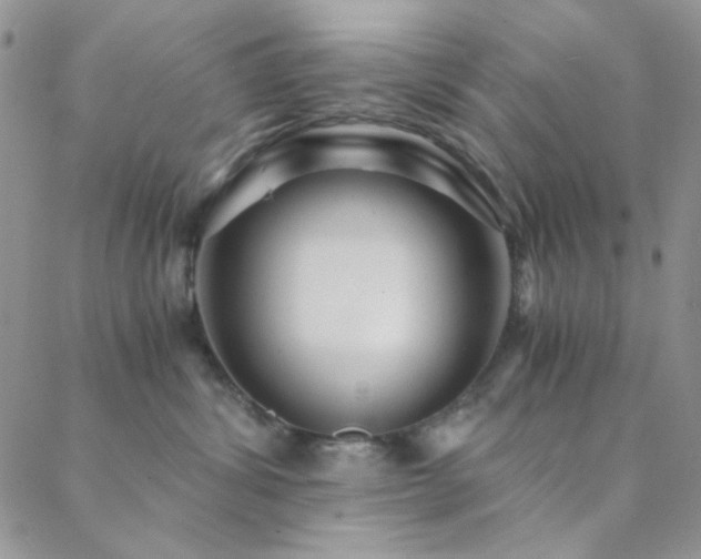 X0000088440428200705221317