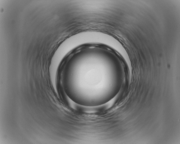 X0000088440429200705221317
