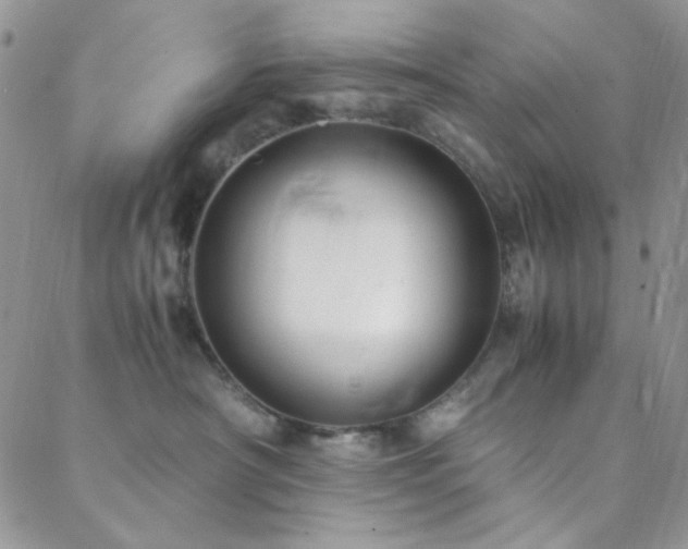 X0000088440430200705221317