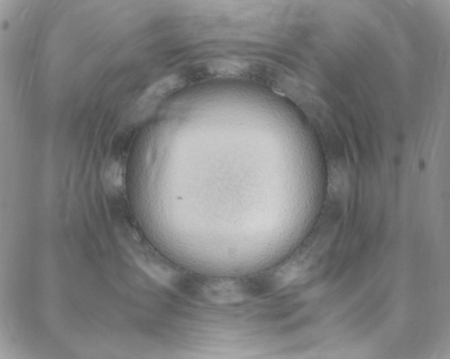 X0000088440431200705221317