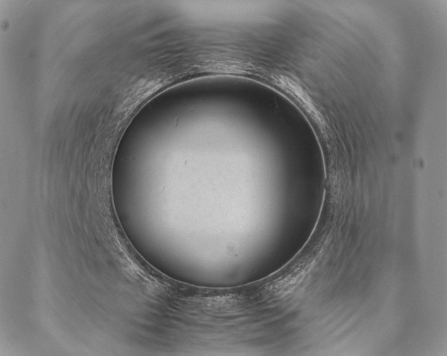 X0000088440433200705221316