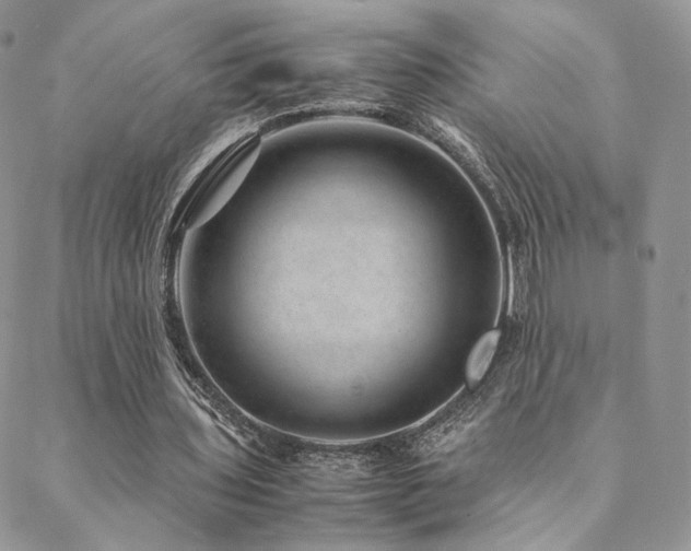 X0000088440435200705221316