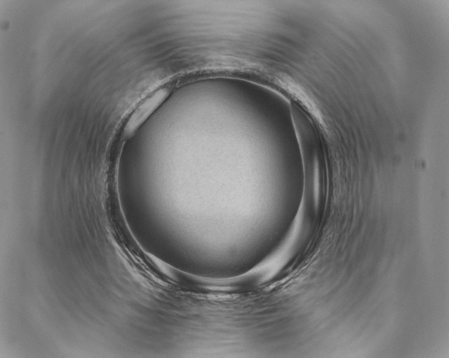 X0000088440436200705221316