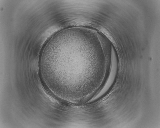 X0000088440438200705221316